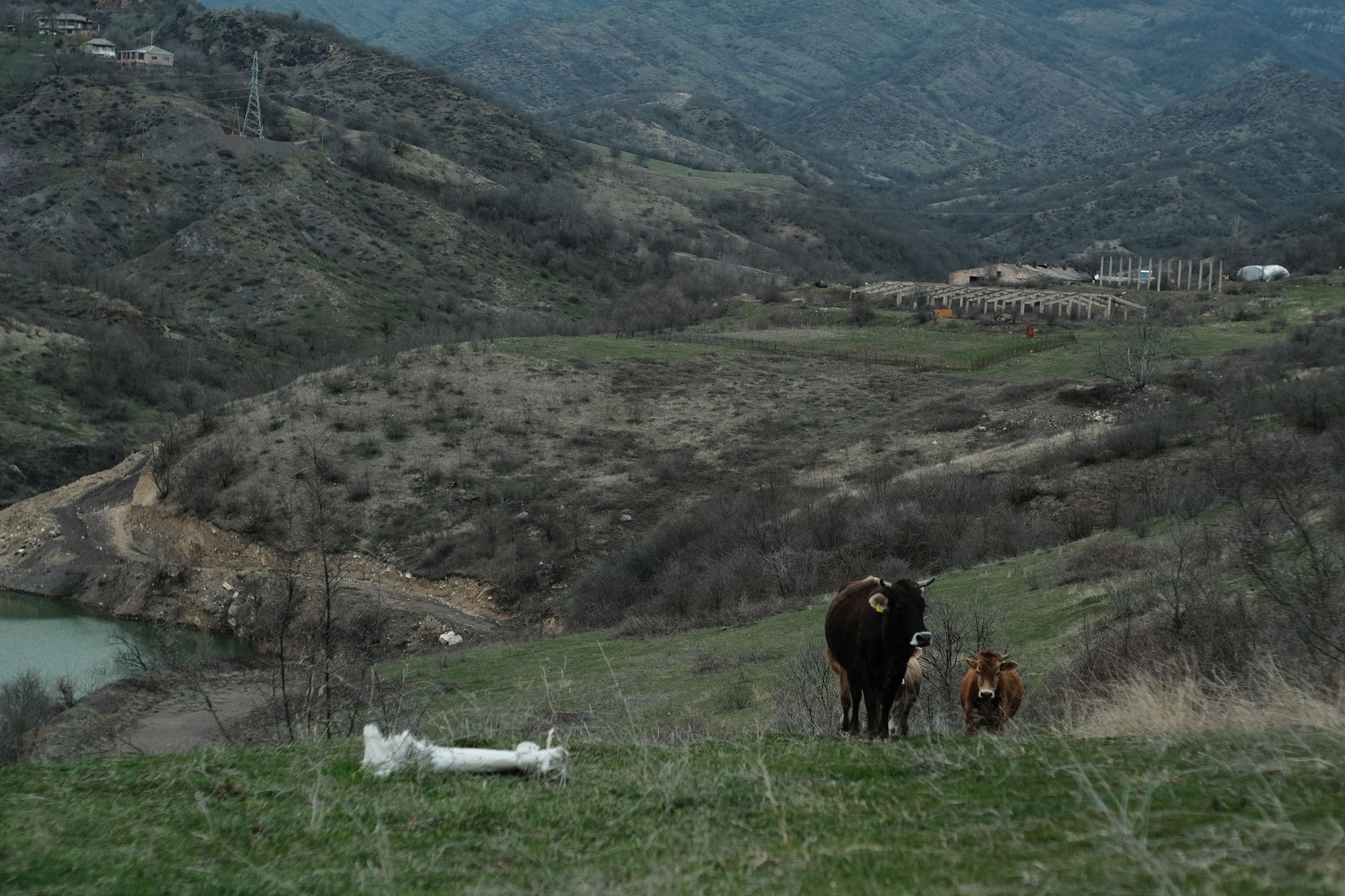 DSCF9162.jpg