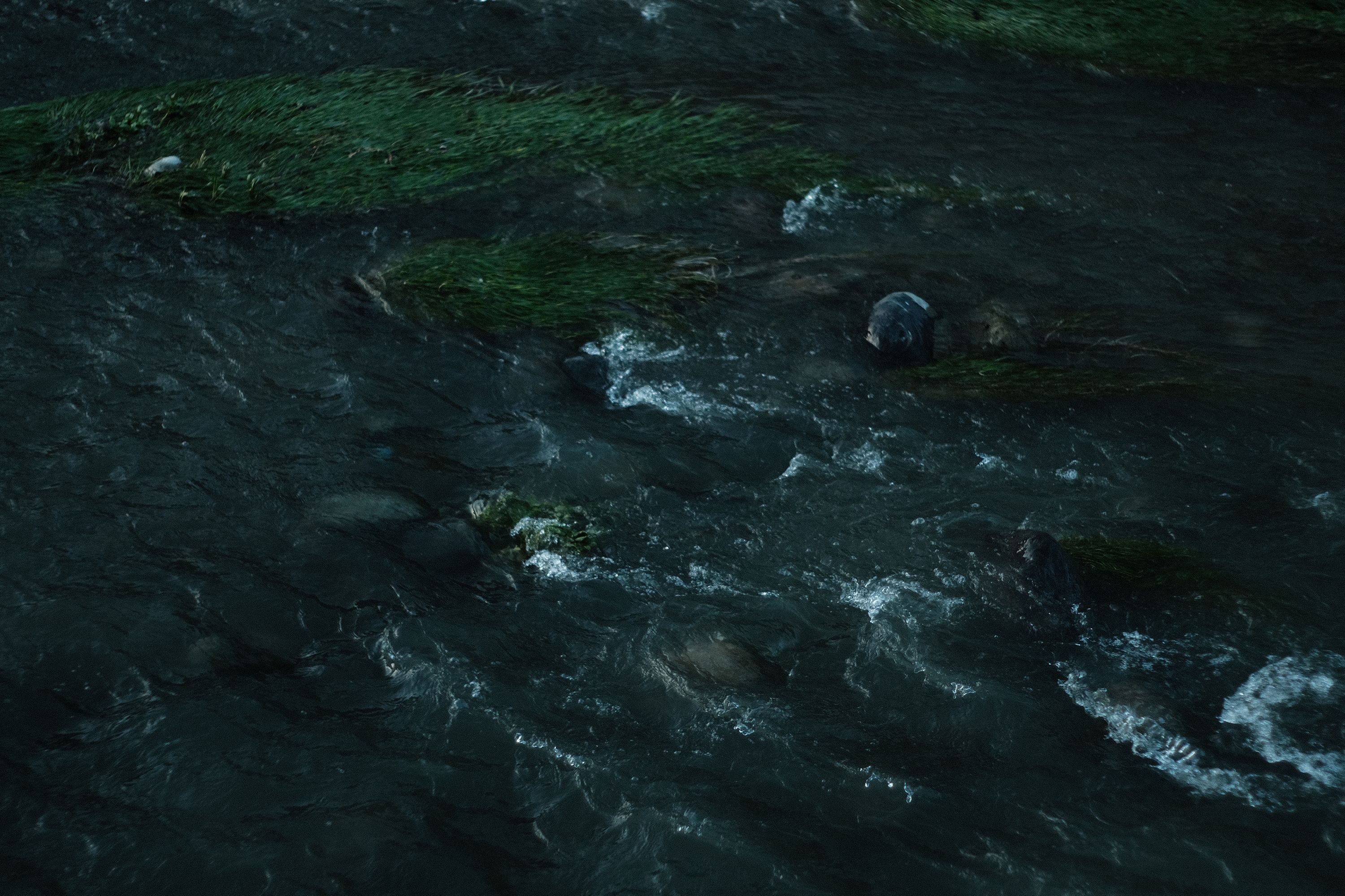 DSCF9380.jpg