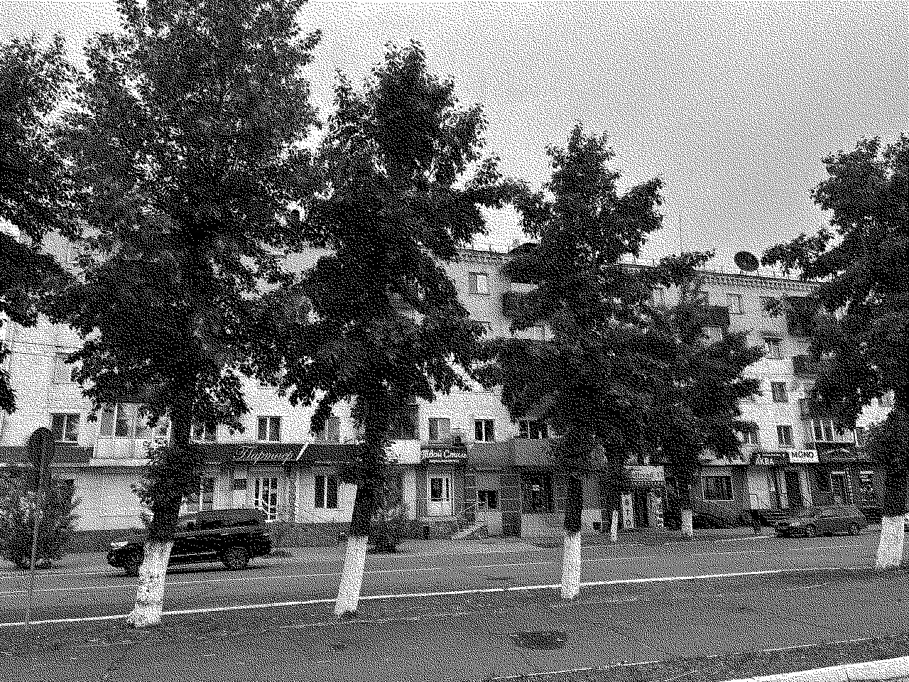 Тополя на улице Ленина в Кызыле