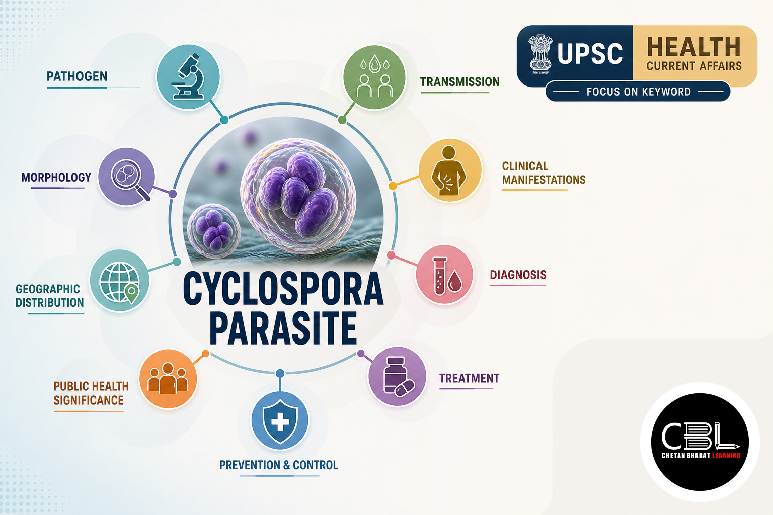 Cyclospora Parasite