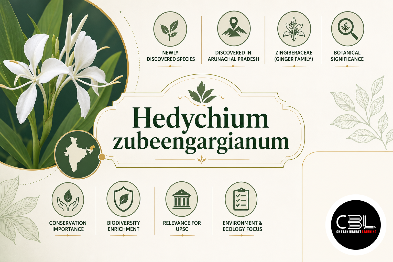 Hedychium zubeengargianum