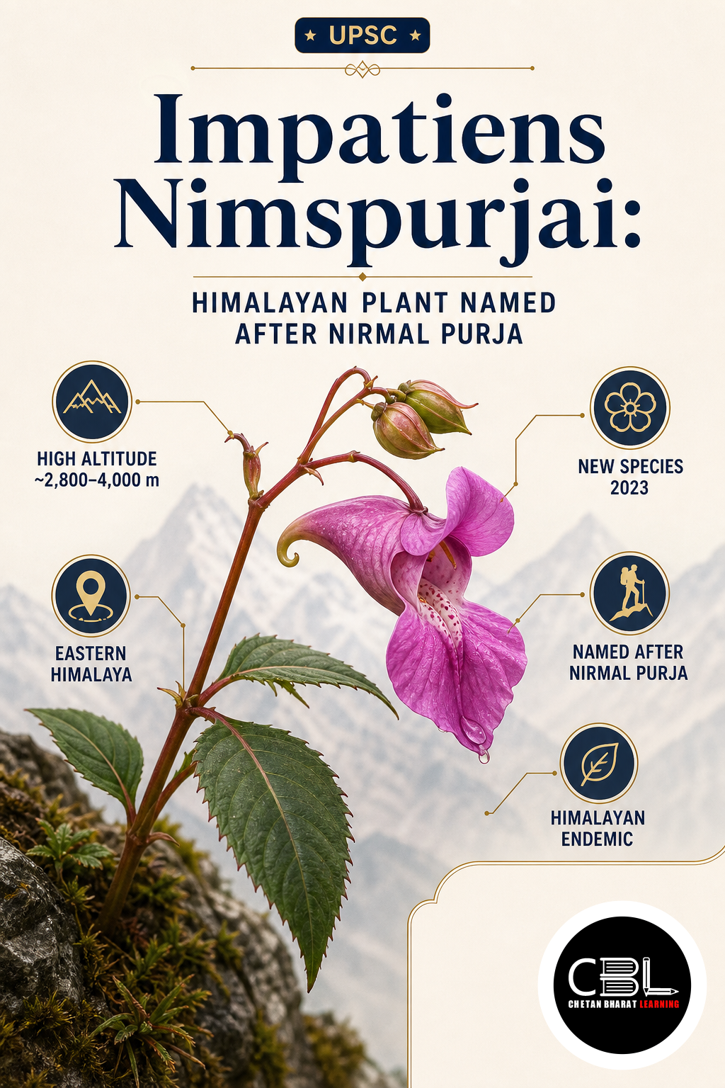 Impatiens Nimspurjai