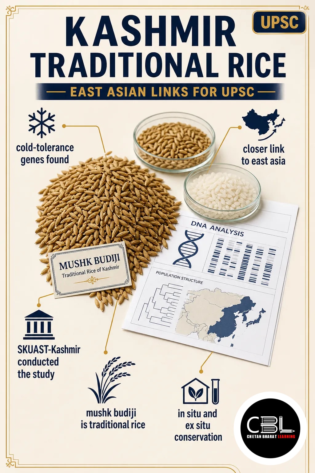 Kashmir traditional rice