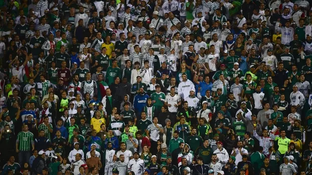 Centenário dá mais de 2,5 mil novos sócios-torcedores ao Palmeiras