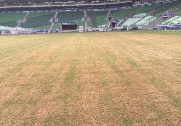 Allianz Parque passa por plantio da grama de inverno entre shows