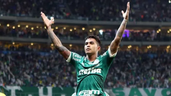 Palmeiras aposta no entrosamento para sair na frente dos rivais