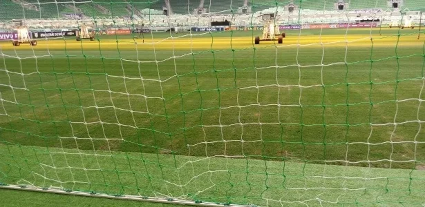 Grama sintética? WTorre só mudará o campo se o Palmeiras concordar