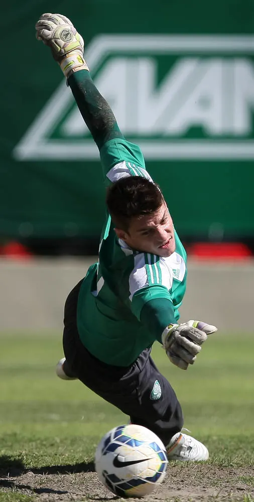 Com Mago e Wesley, Verdão fecha terça com atividades em campo reduzido