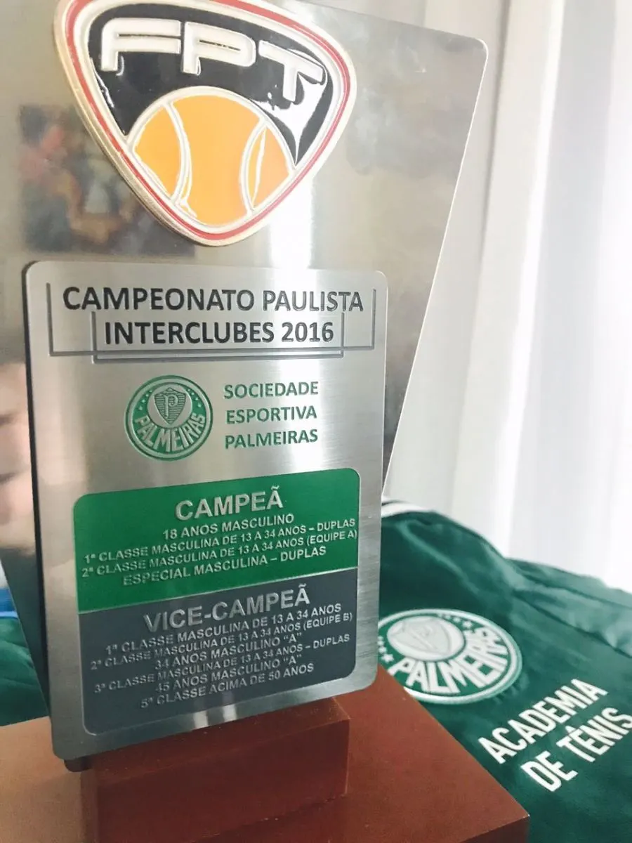 Premiado entre os Melhores de 2016, tênis do Verdão busca mais um título interclubes