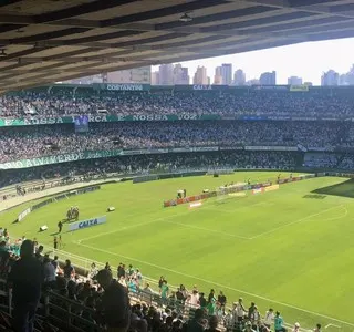 Em jejum, Coritiba e Palmeiras tentam reencontrar vitória no Brasileirão