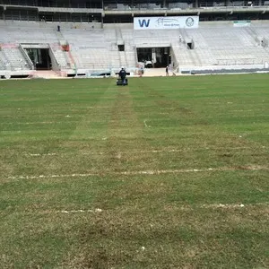 Perto de eventos-teste, gramado da Arena Palmeiras passa por tratamento