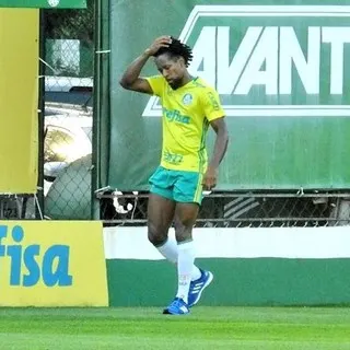 Palmeiras faz treino tático na Academia com Zé Roberto em campo