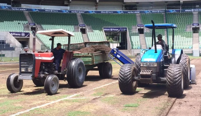 Veja fotos da troca do gramado da arena do Palmeiras