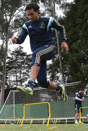 Sem Valdivia e com Diogo, Gareca relaciona 20 atletas para pegar o Galo