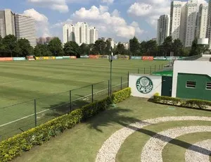 Privacidade e mudanças: Palmeiras se fecha antes de primeira decisão