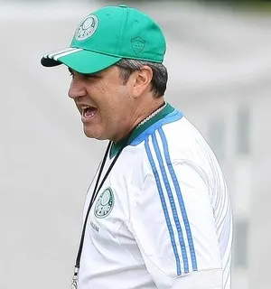 Palmeiras precisa 'se impor' para ir à final, diz Kleina