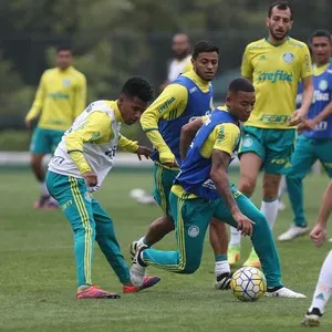  A semana do Palmeiras