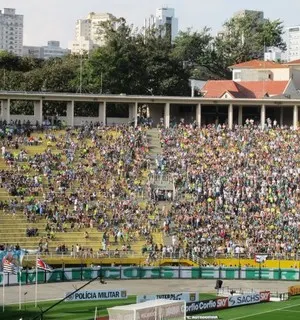 Palmeiras x Goiás: ingressos à venda exclusivamente para sócios em site