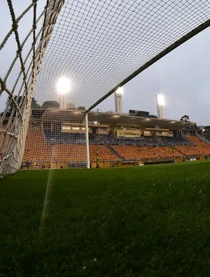 Estádio: o lugar onde eu me sinto bem