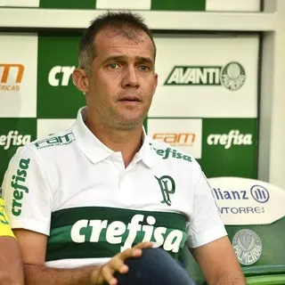 Conversa e fim de chutão: técnico do Palmeiras elogia reação pós-intervalo