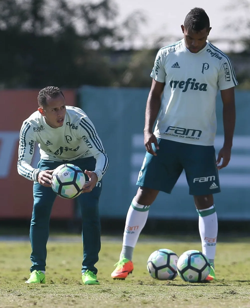  Borja, Guerra e Róger Guedes: veja o que o técnico do Palmeiras pensa sobre o trio