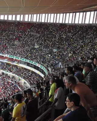 Brasília fica verde e faz Palmeiras se sentir em casa