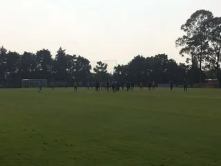 Após série física, Palmeiras faz treino com bola 