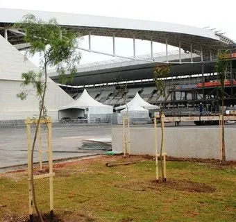 Timão e construtora plantam mais de duas mil árvores ao redor da Arena