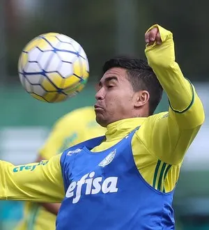 Para jornalista, Palmeiras é um dos mais cotados ao título do Brasileirão