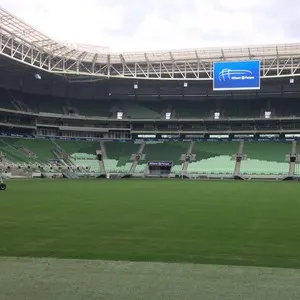 Palmeiras x Santos: ingressos à venda para sócios a partir de domingo