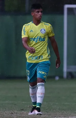 Palmeiras faz limpeza no elenco e prioriza base para preencher espaços