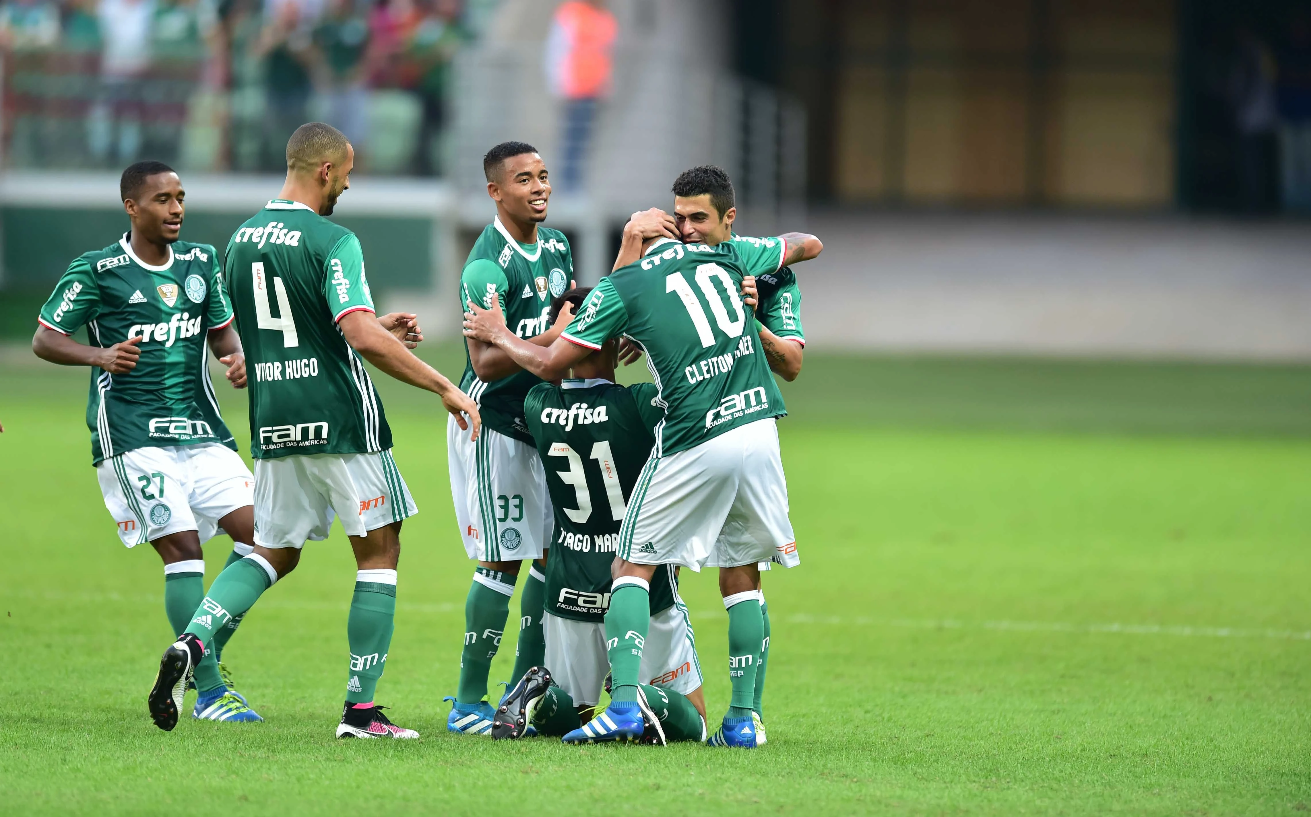 [Verdão Web] Enquete: o Palmeiras será campeão na próxima rodada ?