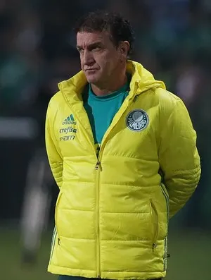 Ponto somado pelo Palmeiras é valorizado