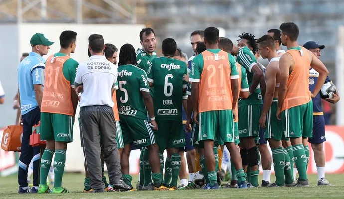 Palmeiras tira torcedor do sério pelo menos uma vez ao ano desde 2000