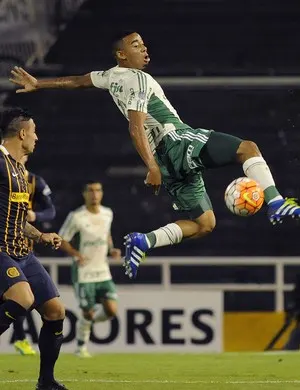 Para Noriega, Palmeiras tropeçou em próprios erros: 