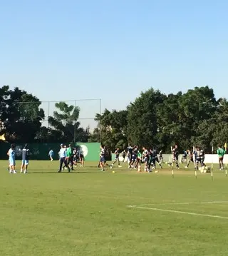 Palmeiras dá sequência a maratona física com trabalhos de força