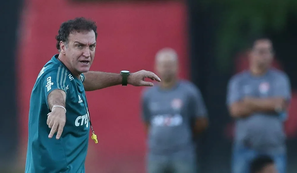 Sai, zica! Melhor visitante de 2016, Palmeiras luta por primeiros pontos fora