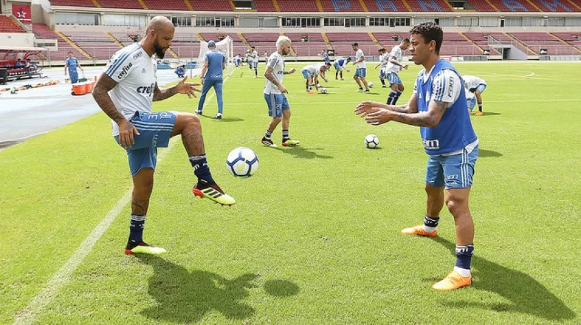 Palmeiras realiza importante treino antes de enfrentar Independiente Medellin