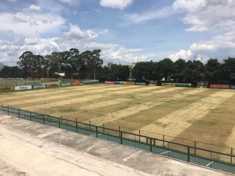 Palmeiras reforma gramados da Academia com técnica inovadora