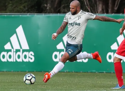 Felipe Melo recupera protagonismo e vai acabar 2017 em alta no Palmeiras