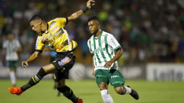 Palmeiras x Novorizontino: prováveis times, onde ver e desfalques