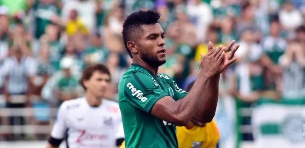 Palmeiras reúne dados para defender Borja e impedir 