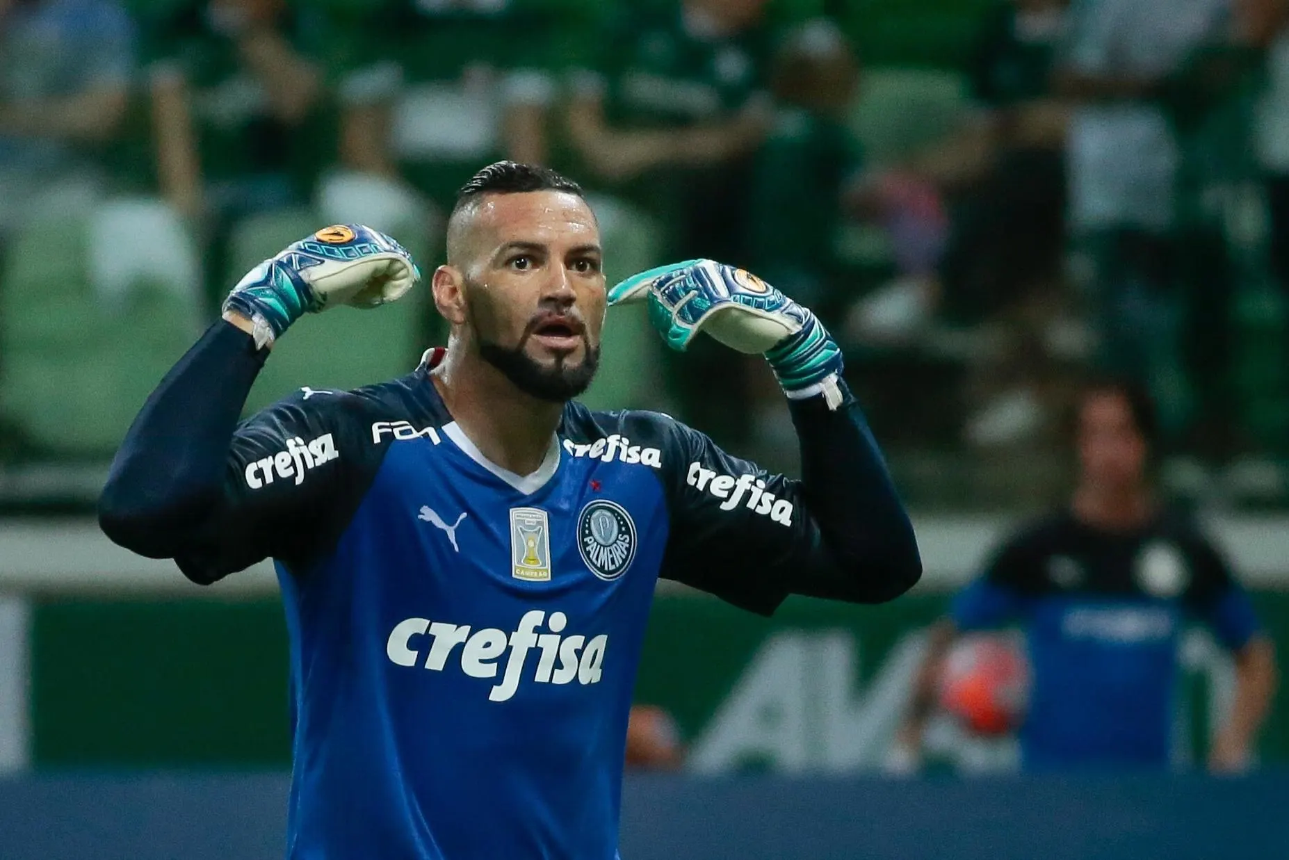 Em live do Verdão, Weverton recebe 