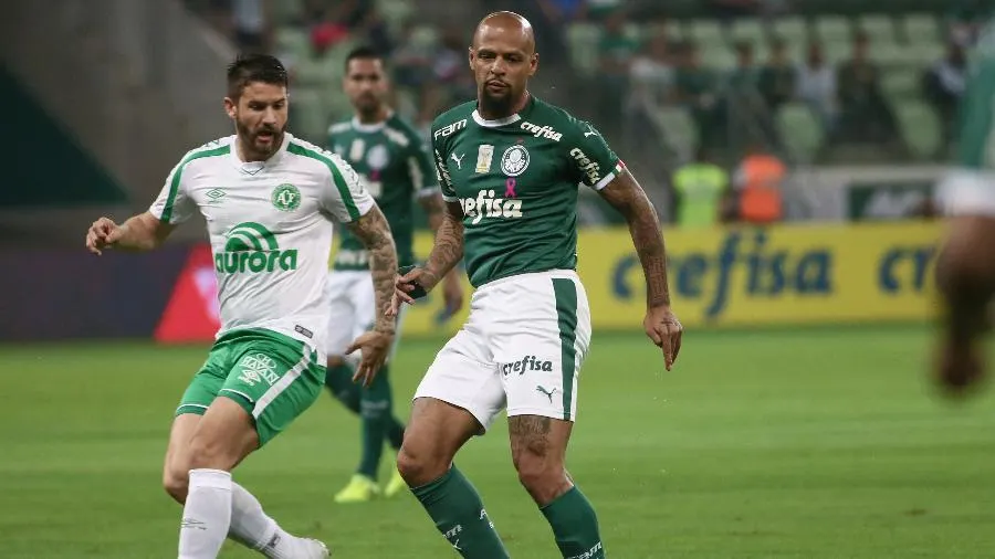 Início de mercado no Palmeiras afasta Felipe Melo da próxima temporada