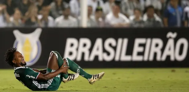 Zé Roberto desfalca Palmeiras na Bolívia e será preparado para o Brasileiro