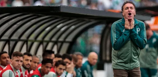 Palmeiras inicia mata-mata e coloca à prova planejamento e trabalho de Cuca