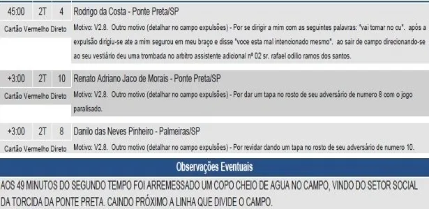 Ponte x Palmeiras: Juiz relata 'tapas no rosto', ofensas e copo arremessado 2