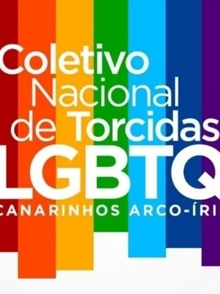 Torcedores criam observatório contra LGBTfobia no futebol nacional