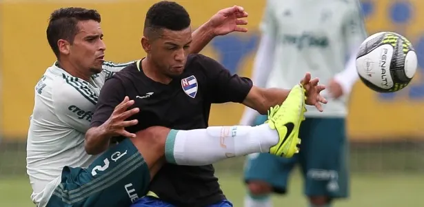 Baptista conta com Jean e Roger Guedes domingo e vê Palmeiras amadurecido