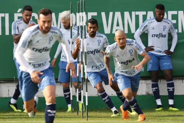 Palmeiras x Botafogo: informações, curiosidades e histórico do confronto